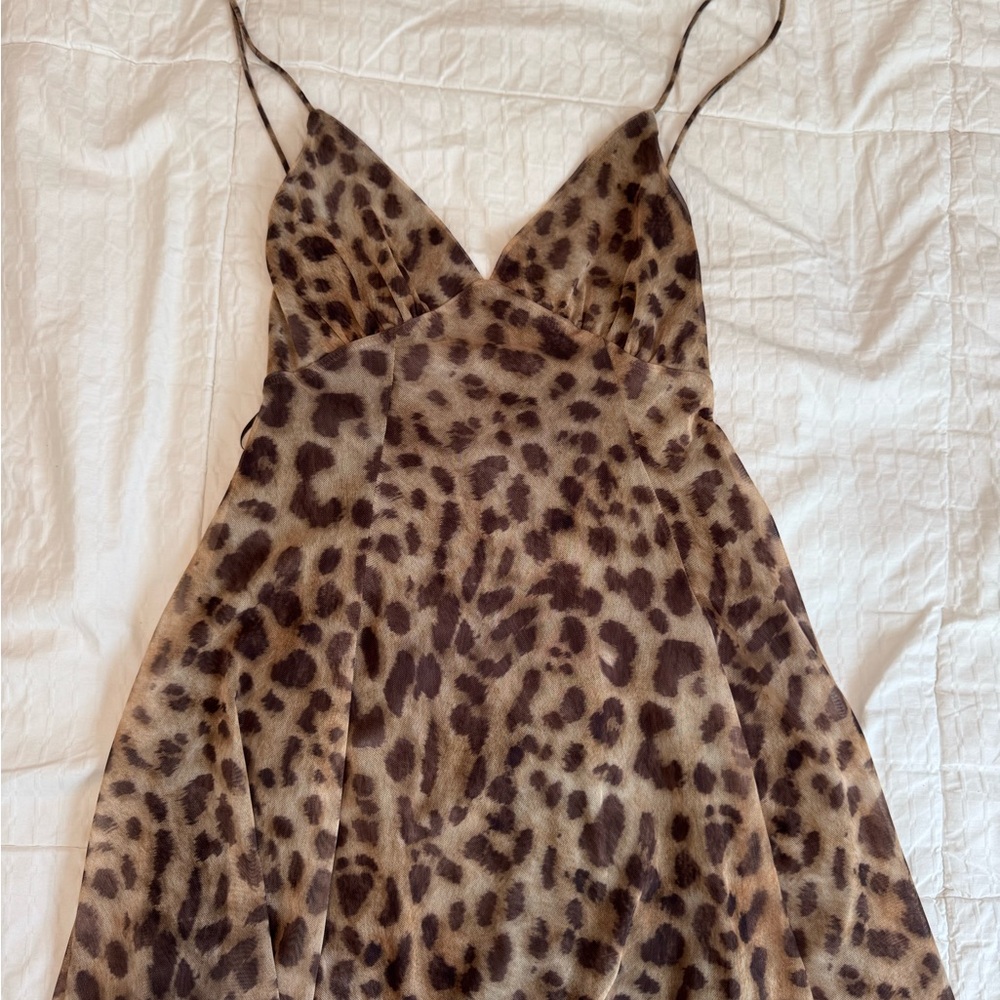 Zara Leopard Print Mini Dress